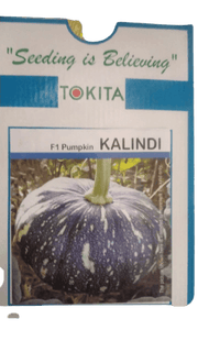 KALINDI F1 HYBRID PUMPKIN (TOKITA SEEDS) - Farmers Stop
