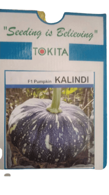 KALINDI F1 HYBRID PUMPKIN (TOKITA SEEDS) - Farmers Stop