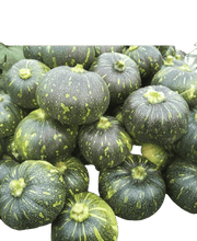 KALINDI F1 HYBRID PUMPKIN (TOKITA SEEDS) - Farmers Stop