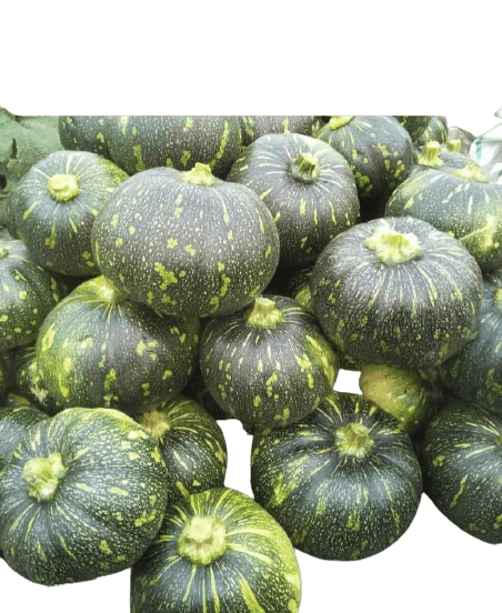 KALINDI F1 HYBRID PUMPKIN (TOKITA SEEDS) - Farmers Stop