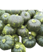 KALINDI F1 HYBRID PUMPKIN (TOKITA SEEDS) - Farmers Stop