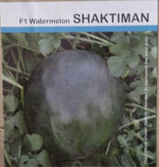 Shaktiman F1 Hybrid Watermelon (Tokita Seeds) - Farmers Stop