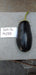 KUBER F1 Hybrid Seedless Brinjal (Tokita Seeds) - Farmers Stop