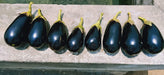 KUBER F1 Hybrid Seedless Brinjal (Tokita Seeds) - Farmers Stop