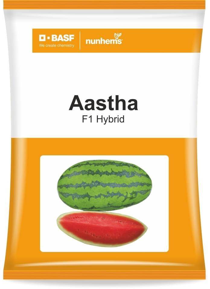 Aastha/आस्था Watermelon (Nunhems) - Farmers Stop