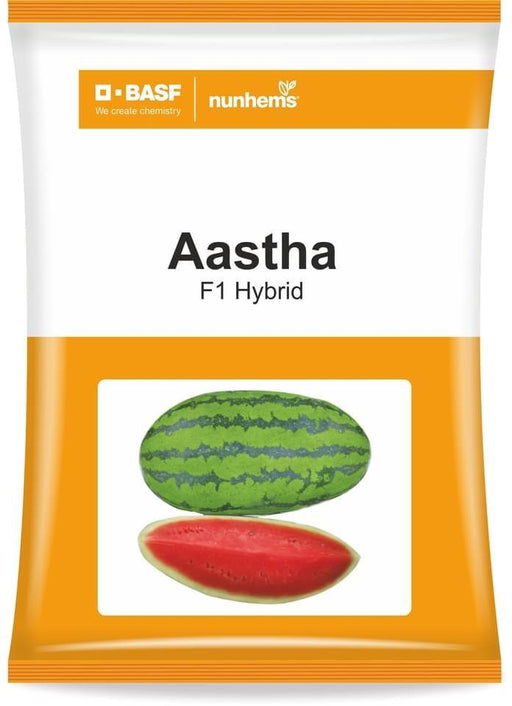 Aastha/आस्था Watermelon (Nunhems) - Farmers Stop