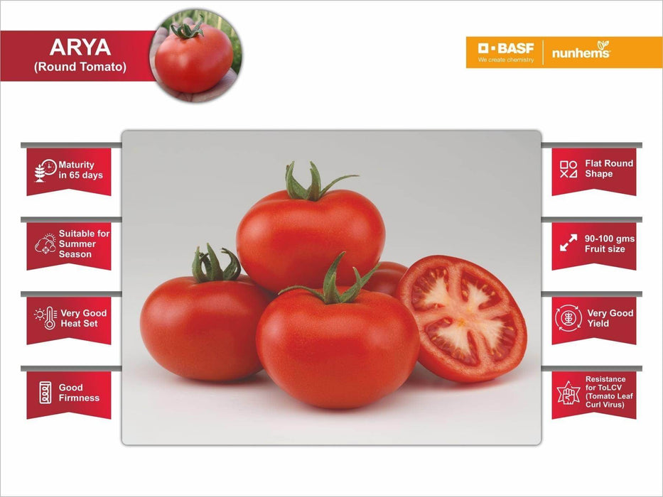Arya/आर्या F1 Hybris Tomato (BASF | Nunhems) - Farmers Stop