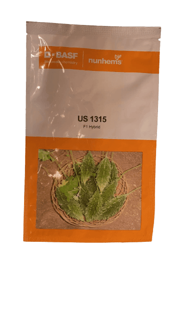 bitter gourd plant fertilizer US 1315 F1 HYBRID BITTERGOURD (BASF NUNHEMS)