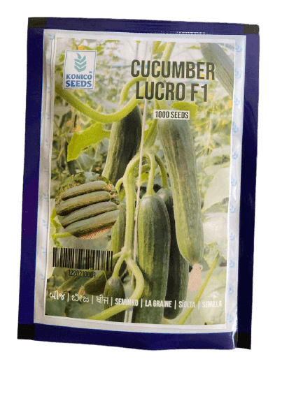 Lucro F1 Hybrid Cucumber for Indoor/Polyhouse (Konico Seed's) - Farmers Stop