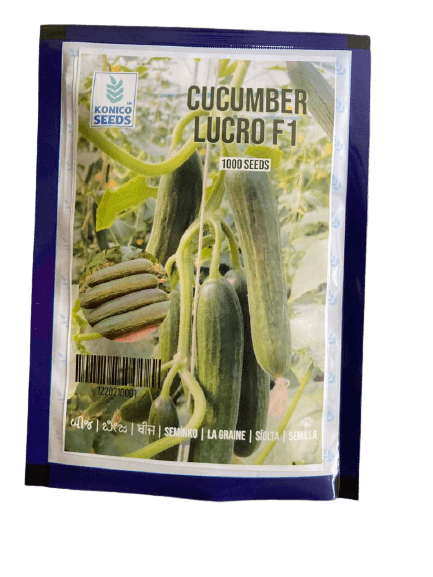 Lucro F1 Hybrid Cucumber for Indoor/Polyhouse (Konico Seed's) - Farmers Stop