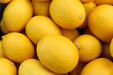 Yellow Sun Melon Sharda F1 Hybrid Muskmelon Seeds - Farmers Stop