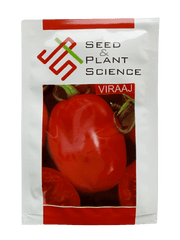 Viraaj F1 Hybrid Tomato (Seed & Plant Science) - Farmers Stop