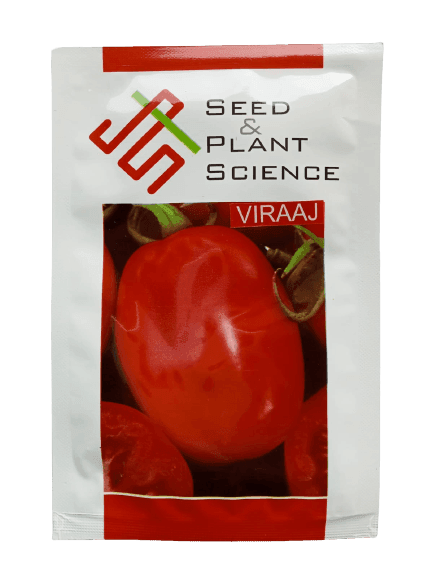 Viraaj F1 Hybrid Tomato (Seed & Plant Science) - Farmers Stop