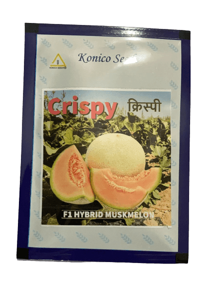 Crispy/क्रिस्पी Hybrid F1 Muskmelon (Konico Seeds) - Farmers Stop