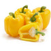 Capsicum Yellow Wonder  (Garden Festival) - Farmers Stop