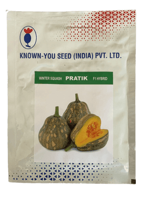 Pratik F1 Hybrid Winter Squash (Known You Seeds) - Farmers Stop