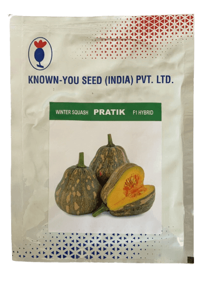Pratik F1 Hybrid Winter Squash (Known You Seeds) - Farmers Stop