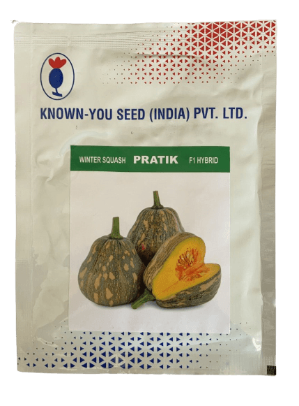 Pratik F1 Hybrid Winter Squash (Known You Seeds) - Farmers Stop