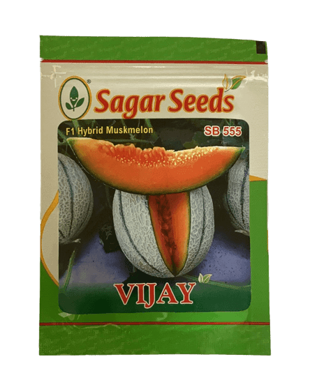 Vijay F1 Hybrid Muskmelon (Sagar Seeds - Farmers Stop