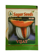 Vijay F1 Hybrid Muskmelon (Sagar Seeds - Farmers Stop