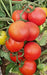 KYI-133 Hybrid F1 Heat Tolerant Tomato (Known You Seeds) - Farmers Stop