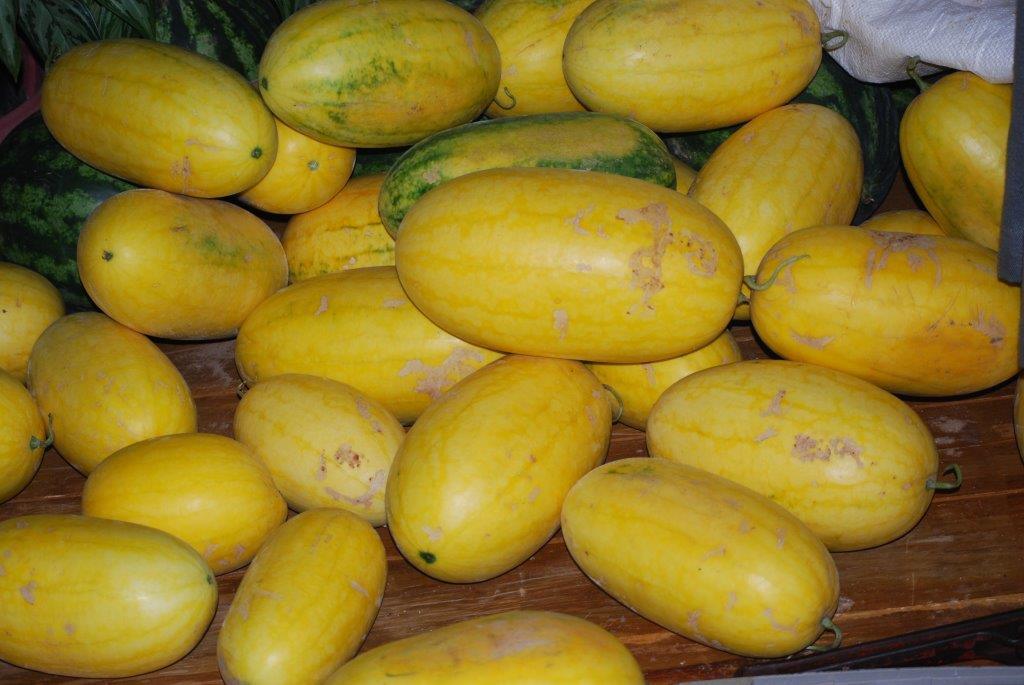 Golden Red -गोल्डन रेड  Yellowish Red Flash F1 Hybrid Watermelon (Konico Seeds) - Farmers Stop