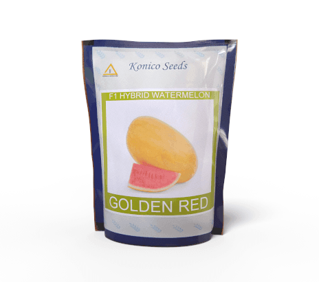 Golden Red -गोल्डन रेड Yellowish Red Flash F1 Hybrid Watermelon (Konico Seeds) - Farmers Stop