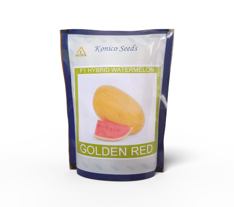 Golden Red -गोल्डन रेड  Yellowish Red Flash F1 Hybrid Watermelon (Konico Seeds) - Farmers Stop