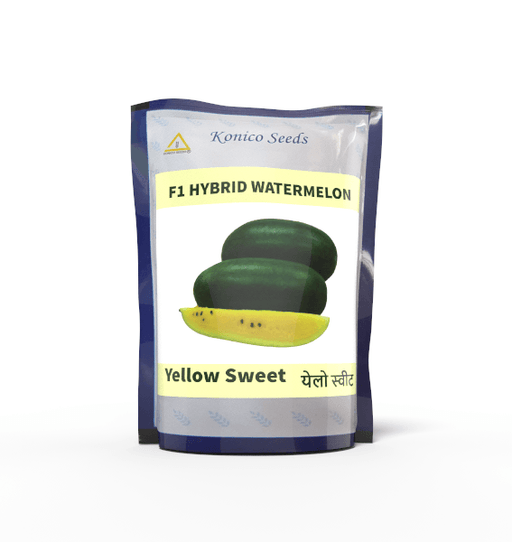 Yellow Sweet-येलो स्वीट (Yellow Flesh) F1 Hybrid Watermelon (Konico Seeds) - Farmers Stop