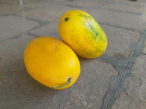 Yellowish Red Sweet F1 Hybrid Watermelon - Farmers Stop