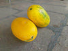Yellowish Red Sweet F1 Hybrid Watermelon - Farmers Stop
