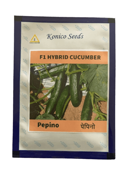 PEPINO F1 HYBRID CUCUMBER Multi-Fruting (KONICO SEEDS) - Farmers Stop