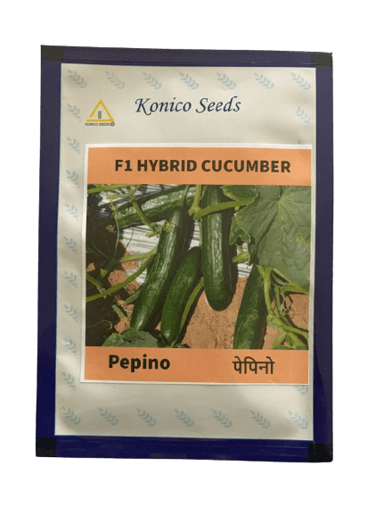 PEPINO F1 HYBRID CUCUMBER Multi-Fruting  (KONICO SEEDS) - Farmers Stop