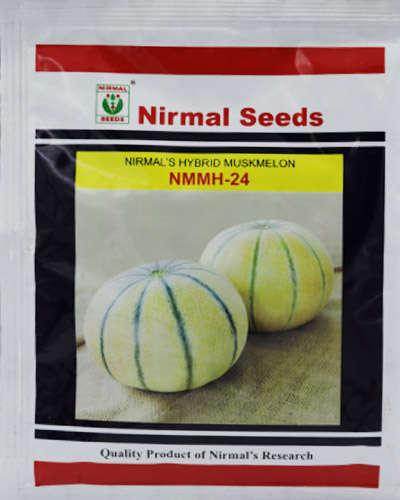 Nirmal's Hybrid Muskmelon NMMH-24 (Nirman Seeds) - Farmers Stop