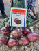 T-821 Hybrid Red Onion (Takii Seed) - Farmers Stop
