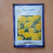 Yellow Shine/येलो शाइन नवरंगा/Gaillardia Pure Yellow Flower Seeds (Konico Seeds) - Farmers Stop