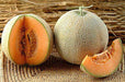Patasha F1 Hybrid Muskmelon (Kalash Seeds) - Farmers Stop