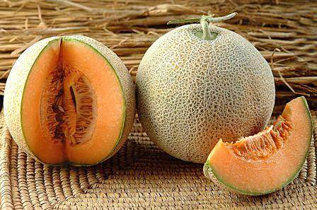 Patasha F1 Hybrid Muskmelon (Kalash Seeds) - Farmers Stop
