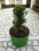 high quality grow pot/ grow bag for kitchen gardening / roof top organic farming  - 250 hdpe gsm