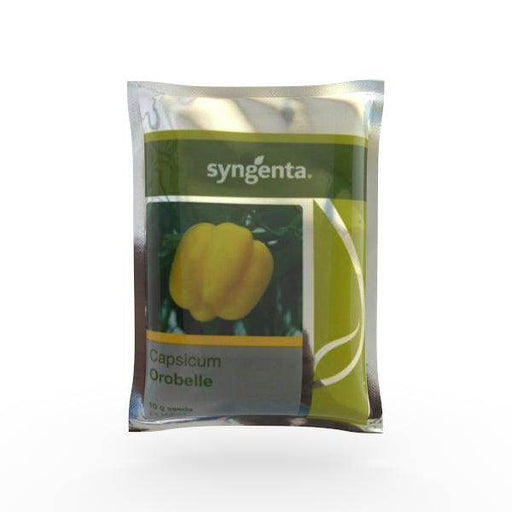 Orobelle/ओरोबेले F1 Hybrid Capsicum (Syngenta) - Farmers Stop