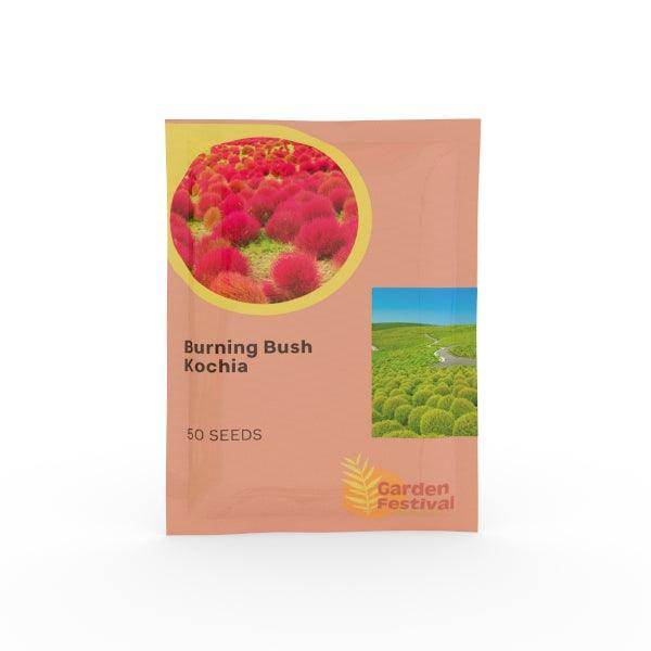 Kochia Burning Bush (Garden Festival) - Farmers Stop