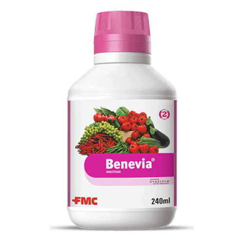BENEVIA® Insecticide (FMC, India) - Farmers Stop