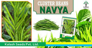 Navya Cluster Beans (Guar) (Kalash seeds) - Farmers Stop