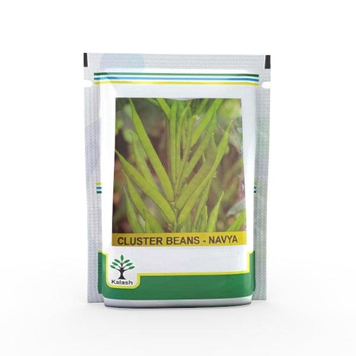 Navya Cluster Beans (Guar) (Kalash seeds) - Farmers Stop