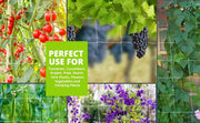Nylon Trailing Net for Plant Support & Plant Climbing Net Agriculture and Gardening Netting - Farmers Stop