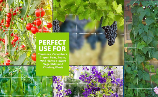 Nylon Trailing Net for Plant Support & Plant Climbing Net Agriculture and Gardening Netting - Farmers Stop