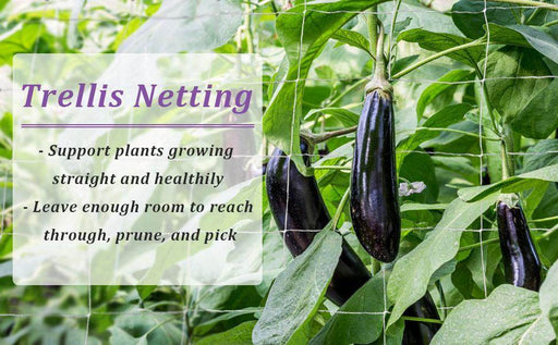 Nylon Trailing Net for Plant Support & Plant Climbing Net Agriculture and Gardening Netting - Farmers Stop