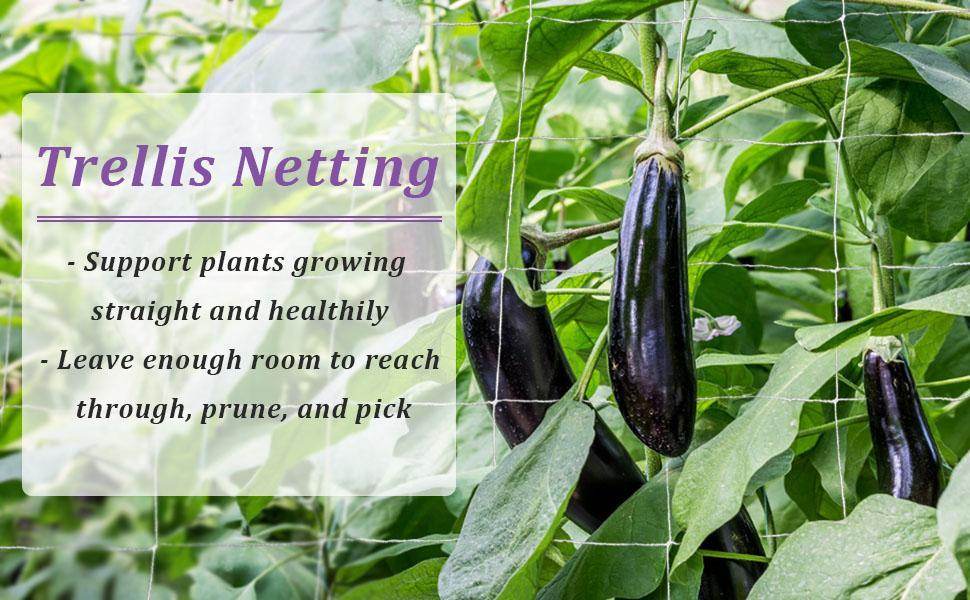 Nylon Trailing Net for Plant Support & Plant Climbing Net Agriculture and Gardening Netting - Farmers Stop