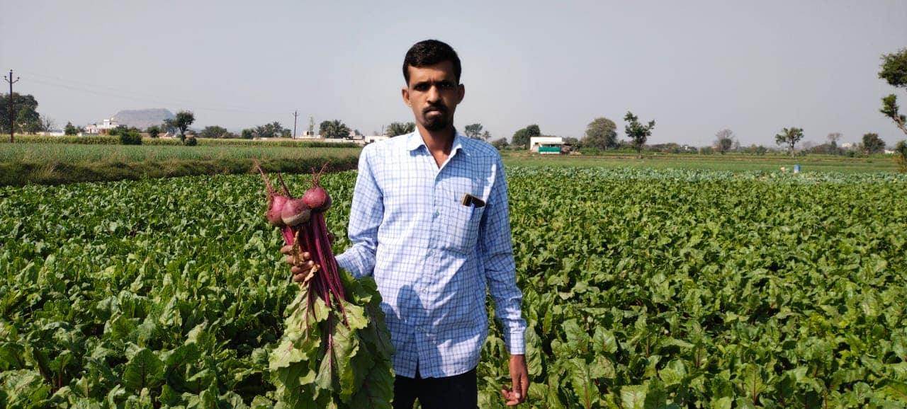 Red Sun F1 Hybrid Beetroot (United Genetics, USA) - Farmers Stop