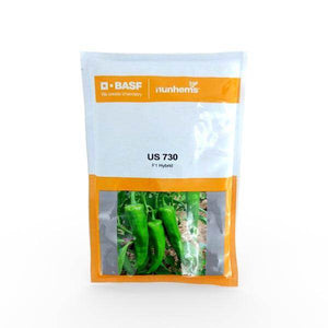US 730 F1 Hybrid Chilli (BASF | Nunhems) — product image 1